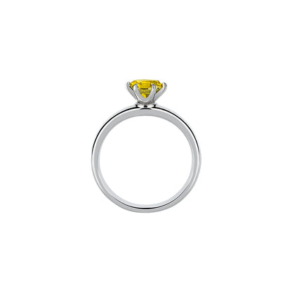 Screw & Silver Ring Pendant Necklace of Resilience: Love Through Adversity